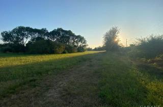 Grundstück zu kaufen in 06237 Leuna, Landwirtschaftliches Grundstück in Kötzschau