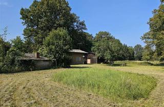 Grundstück zu kaufen in 03099 Kolkwitz, Liebhaber-Grundstück zwischen Spreewald und Cottbus