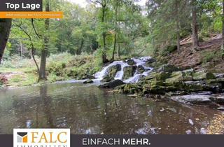 Anlageobjekt in Kreisstraße 19, 06493 Harzgerode, Waldgrundstück im Nationalpark Harz: Natur-Wald im Selketal gegenüber Wasserfall 29.485 m²