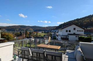 Doppelhaushälfte kaufen in 69259 Wilhelmsfeld, Zwei Doppelhaushälften in Top-Lage mit 40m² Dachterrasse und Garten