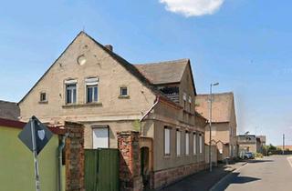 Bauernhaus kaufen in 06780 Zörbig, Zörbig - Wunderschönes Grundstück mit Bauernhaus und Scheune