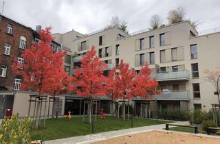 Wohnung mieten in Reindelstraße 20, 90402 Nürnberg, Möbliertes 1 Zimmer Apartment mit Terrasse und kleinem Garten