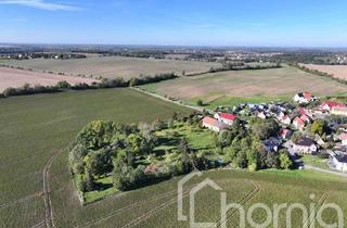 Gewerbeimmobilie kaufen in 04617 Kriebitzsch, Kleingärten (ca. 1,6 ha) zw. Zeitz und Altenburg