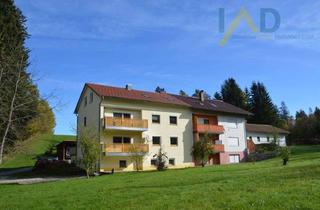 Mehrfamilienhaus kaufen in 94209 Regen, Ansprechendes Mehrfamilienhaus mit großem Garten