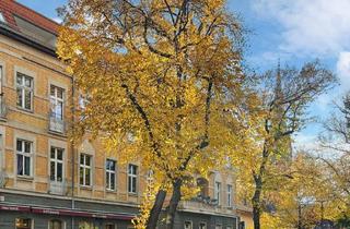 Wohnung kaufen in Arndtstraße, 12489 Berlin, Traumhafte 4-Zimmer-Wohnung in Berlin-Adlershof nähe des Wissenschaftszentrums