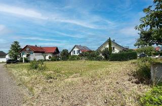 Einfamilienhaus kaufen in 71563 Affalterbach, Affalterbach - Ihr Wohntraum entsteht! Idyllisches EFH in ruhiger Wohnlage von Affalterbach