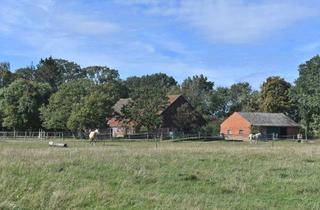 Bauernhaus kaufen in 49419 Wagenfeld, Wagenfeld - Attraktiver, sanierter Pferdehof in Alleinlage in Niedersachsen