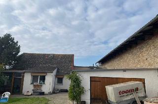 Einfamilienhaus kaufen in 06420 Könnern, Könnern - Einfamilienhaus mit 3000qm Grundstück + Baugrund