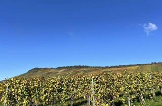 Grundstück zu kaufen in 71384 Weinstadt, "Bauplatzjuwel mit traumhafter Aussicht: Exklusives Wohnen am Fuße der Großheppacher Weinberge – Nat