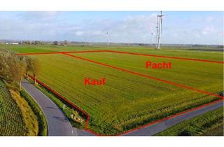 Immobilie kaufen in 25797 Wöhrden, 2,50 ha hochwertiges Ackerland in Wöhrden im Bieterverfahren zu verkaufen und 3,37 ha zu verpachten