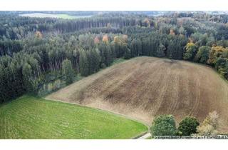 Gewerbeimmobilie kaufen in 86551 Aichach, Waldflächen nahe Aichach