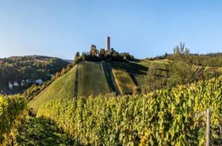 Wohnung kaufen in 65399 Kiedrich, Das neue Wohnensemble mit Blick auf die Weinberge in Kiedrich!