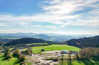 Grundstück zu kaufen in Fürholzer Weg, 94143 Grainet, Dei Hoamat in Groanat - faszinierender Fernblick | einmalige Südhanglage