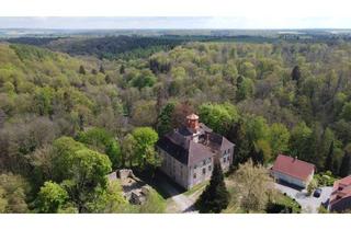 Wohnung kaufen in Steinburg 18, 06647 Steinburg, Wohnen & Leben in einem historischen Gebäude Schloss Steinburg seit 1306