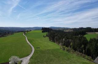 Grundstück zu kaufen in 96346 Wallenfels, ehemalige Gastwirtschaft in traumhafter Lage