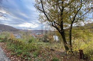 Grundstück zu kaufen in 34346 Hann. Münden, IHR RÜCKZUGSORT: 960 M² INMITTEN DER NATUR