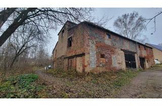 Grundstück zu kaufen in 04680 Zschadraß, Baugrundstück mit Bestandsgebäude im Mischgebiet