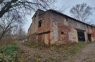 Grundstück zu kaufen in 04680 Colditz, Baugrundstück mit Bestandsgebäude im Mischgebiet