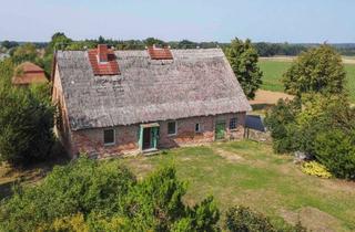 Haus kaufen in 17192 Groß Gievitz, Jetzt Anpacken! Reetdachhaus mit Gestaltungspotenzial auf großem gepflegtem Grundstück in Sorgenlos