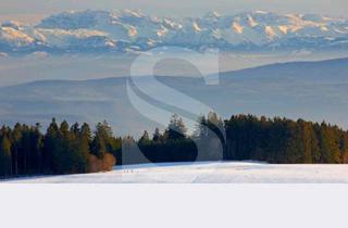 Anlageobjekt in 79862 Höchenschwand, Ehemaliges Schwesternheim in einmaliger Lage mit Blick auf die Alpen!