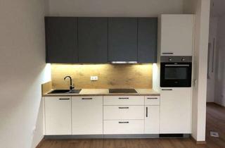 Wohnung mieten in Angerfeld, 94469 Deggendorf, Großes helles Apartment mit Balkon im Neubau zu vermieten