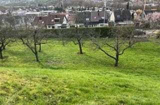 Grundstück zu kaufen in 72644 Oberboihingen, Rarität! Großer Bauplatz in reinem Wohngebiet mit Aussicht in bester Lage von Oberboihingen