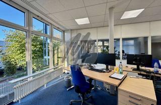 Büro zu mieten in 65719 Hofheim am Taunus, KEINE PROVISION ✓ IM ALLEINAUFTRAG ✓ Büro (500 m²) & Lager (100 m²) zu vermieten