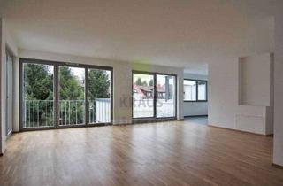 Penthouse mieten in 69121 Handschuhsheim, 4-Zimmer-Penthouse-Wohnung mit sonniger Dachterrasse