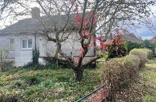 Haus kaufen in Kindergartenweg, 18198 Stäbelow, los gehts- hier gibt es was zu tun!