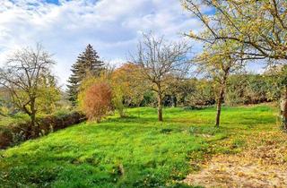 Grundstück zu kaufen in 01662 Meißen, 720m² Freizeitgrundstück*Südlage mit Fernblick ins Triebischtal*teilerschlossen* *provisionsfrei*