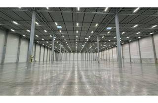 Gewerbeimmobilie mieten in 64572 Büttelborn, 7.500 m² Logistikfläche | Top Lage | Rampe + ebenerdige Andienung