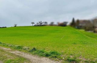 Grundstück zu kaufen in 96479 Weitramsdorf, Interessantes Grundstück in Weitramsdorf