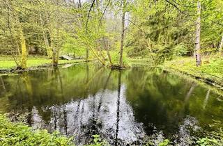 Grundstück zu kaufen in 76857 Waldhambach, Idyllisches Waldgrundstück mit Fischweiher und Holzhütte