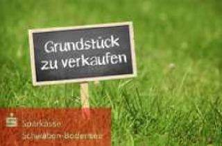 Gewerbeimmobilie kaufen in 86874 Tussenhausen, Landwirtschaftliches Grundstück – Grünland bei Tussenhausen