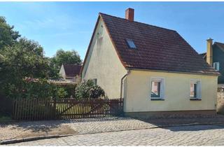 Einfamilienhaus kaufen in 39517 Uetz, Einfamilienhaus mit Hof und Garten in Uetz, bei 39517 Tangerhütte