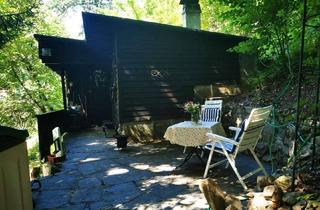 Haus kaufen in 79669 Zell, Autarkes Wochenendhäuschen im Schwarzwald mit eigenem Wald