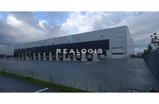 Gewerbeimmobilie mieten in 63110 Rodgau, NEUBAU: ca. 15.000 qm Lager- / Logistikfläche | Rampe + ebenerdig | ca. 10,50 m UKB