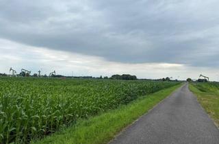 Immobilie kaufen in 49824 Emlichheim, landwirtschaftliche Flächen in Emlichheim gegen Gebot