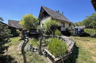 Einfamilienhaus kaufen in Odorfsweg 26, 38871 Stapelburg, Nordharz - Sonniges und ruhiges Wohnen in Wasserleben!!!