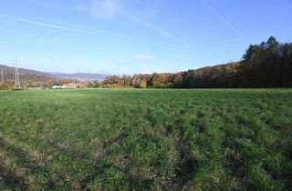 Gewerbeimmobilie kaufen in 34346 Hann. Münden, Bei Hannoversch Münden: ca. 3,8 ha landwirtschaftliche Fläche