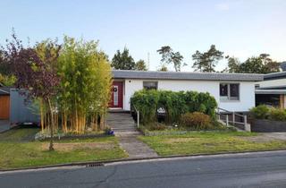 Haus kaufen in 38539 Müden, Flachdachbungalow mit Garage und Carport in Waldrandlage