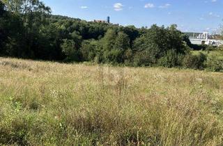 Grundstück zu kaufen in 91284 Neuhaus, MIT BLICK ZUR BURG VELDENSTEIN