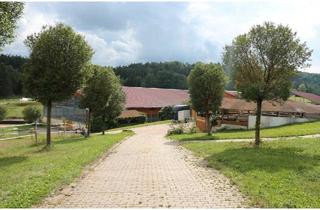 Bauernhaus kaufen in 73479 Ellwangen, Ellwangen (Jagst) - Reiterhof für Pferdezucht im Ostalbkreis