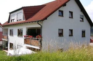 Wohnung mieten in 74214 Schöntal, im Jagsttal: Schöntal-Marlach: Schicke 3 Zimmer-Whg - Einbauküche - Tolle Aussicht