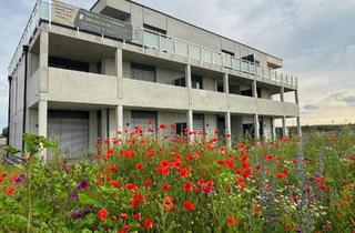 Wohnung mieten in Konrad Adenauer Straße 37, 97215 Uffenheim, Wohnen mit Weitblick 2,5 Zimmer und TOP Küche