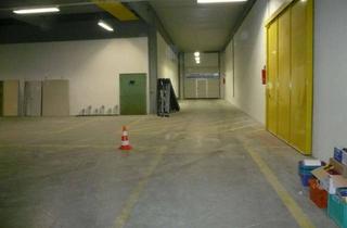 Büro zu mieten in 97828 Marktheidenfeld, Produktionshalle mit Büroräumen in Marktheidenfeld