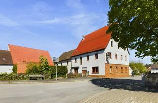 Mehrfamilienhaus kaufen in 91207 Lauf, Lauf an der Pegnitz - Charmante Immobilie mit großem Hof und Geschichte - Ehemalige Gaststätte inkl. Wohnung zu verkaufen!