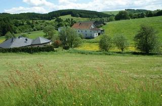 Grundstück zu kaufen in 54597 Neuendorf, **Voll erschlossenes Baugrundstück mit Weitblick in der Eifel**