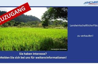 Grundstück zu kaufen in 89428 Syrgenstein, Großzügige Landwirtschaftsfläche oder Ausgleichsfläche zu verkaufen in Syrgenstein - Ein Objekt von SOWA Immobilien & Finanzen Ihrem Immobilienprofi vor Ort