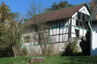 Wohnung kaufen in 64853 Otzberg, Eine Wohnung wie ein eigenes Haus